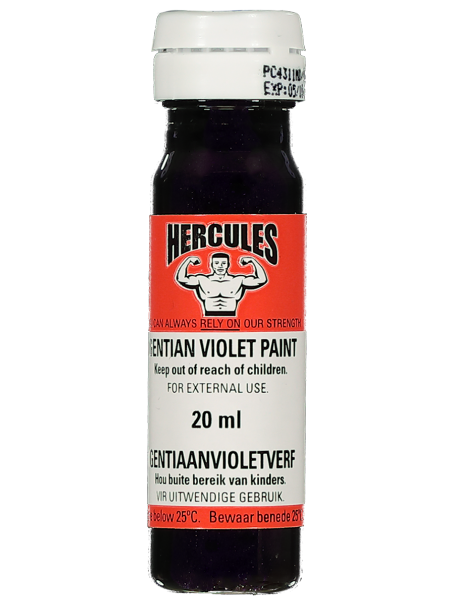 Hercules Gention Violet