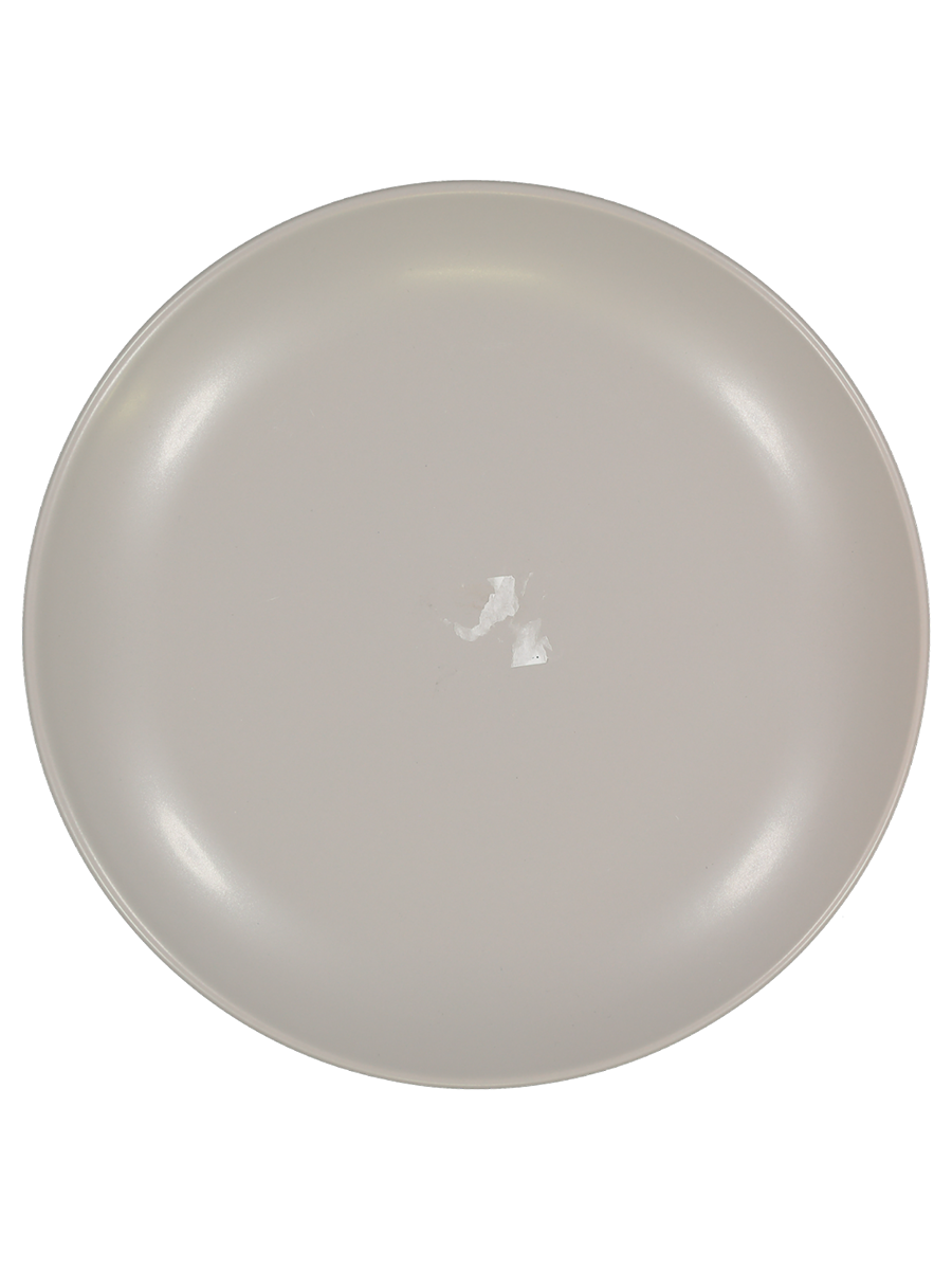 Stoneware Dinner Plates