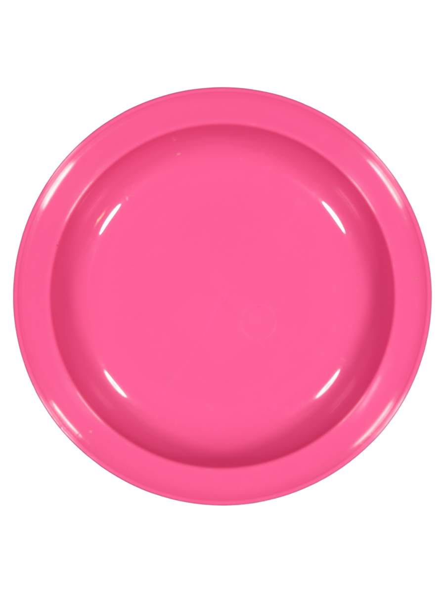 Plastic Plate