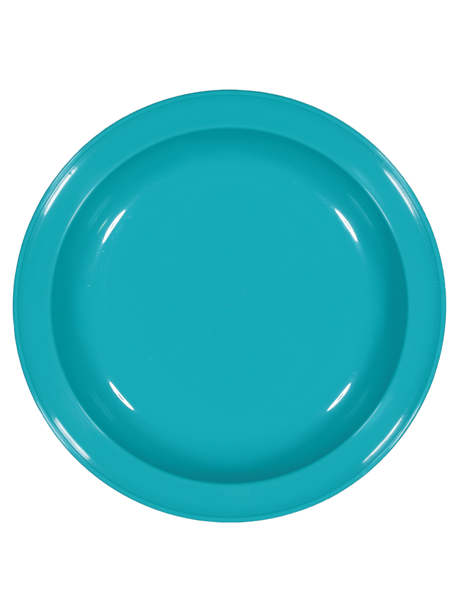 Plastic Plate