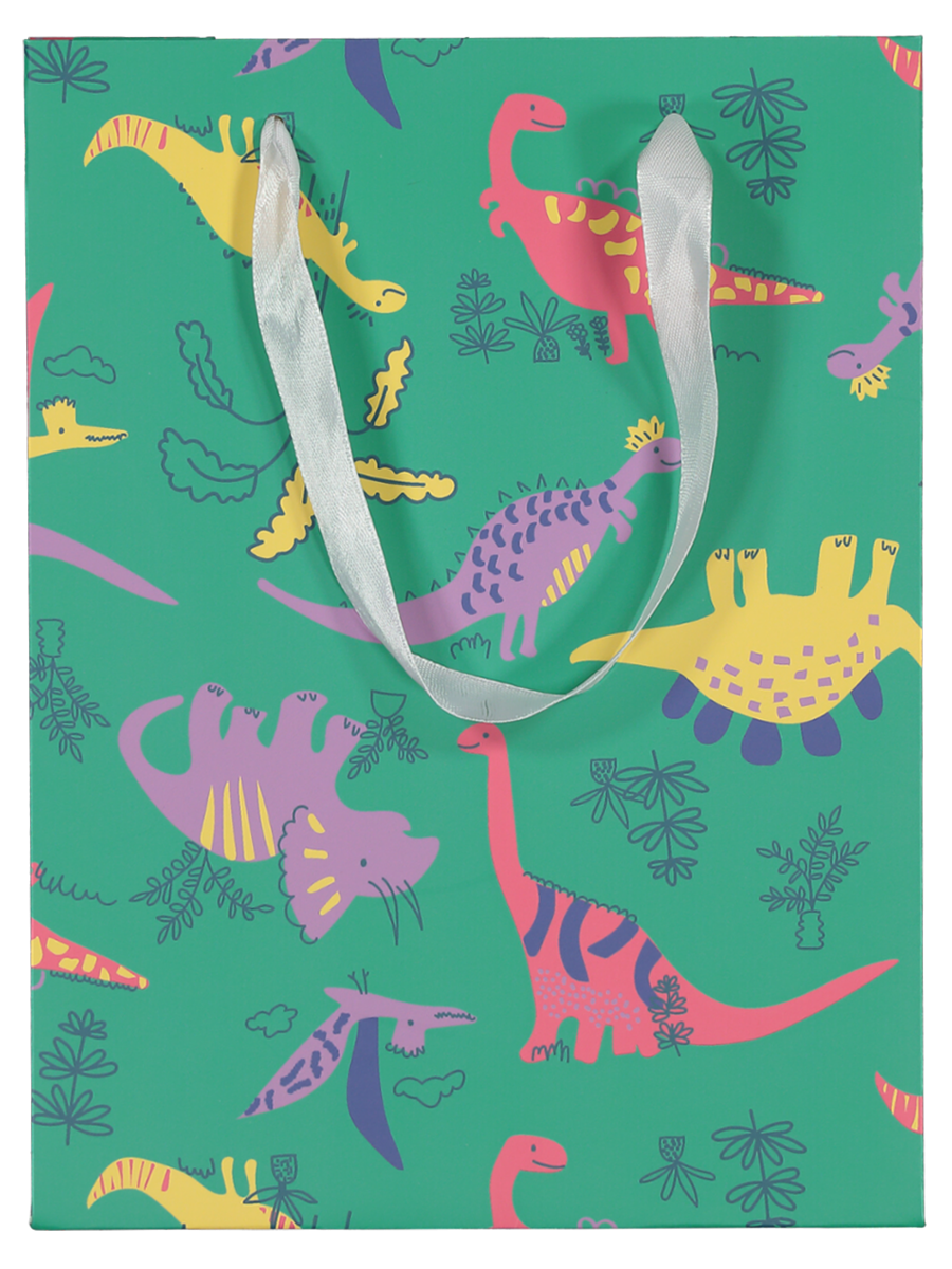 Gift Bag Medium Kids