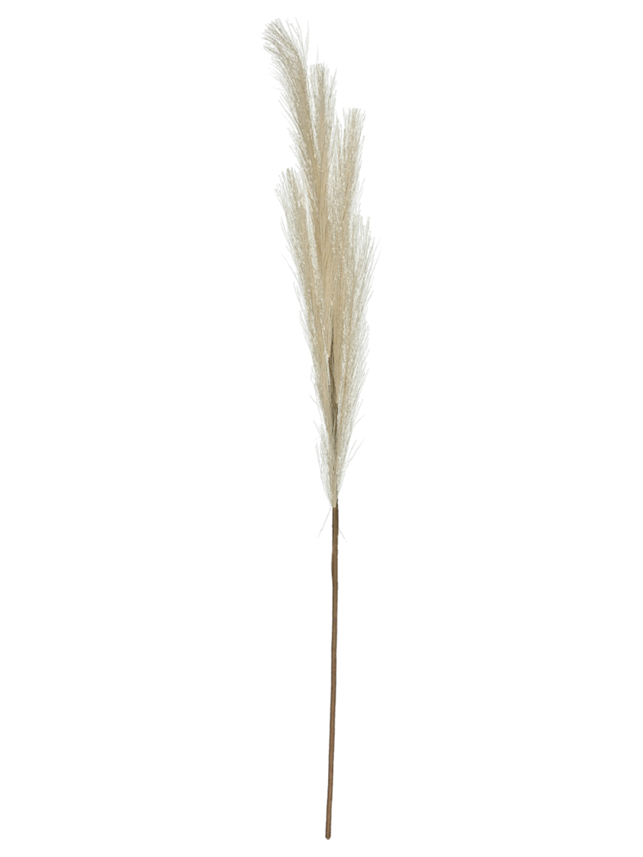 Pampas Foliage