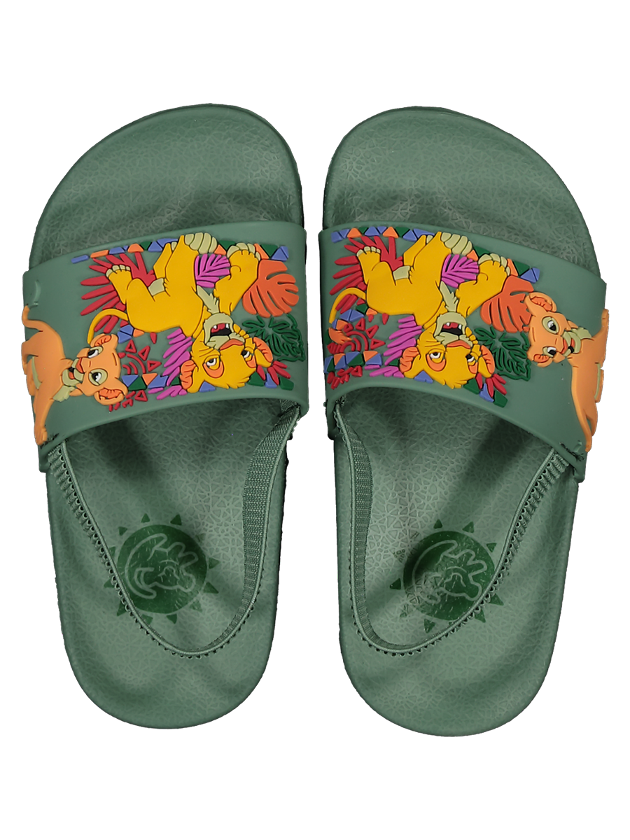 Lion King Slides