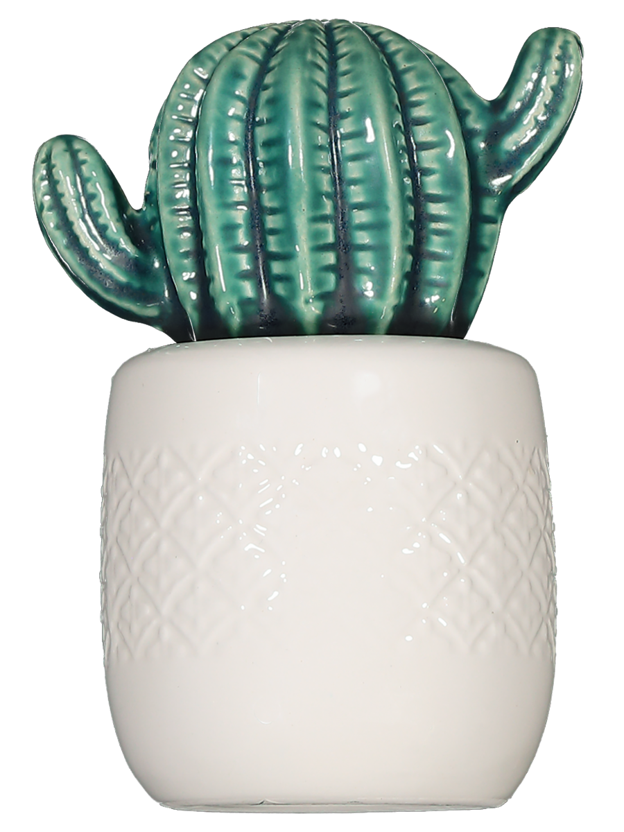 Ceramic Succulent Ornament