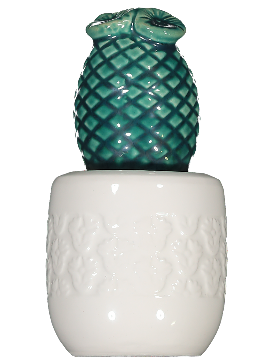 Ceramic Succulent Ornament