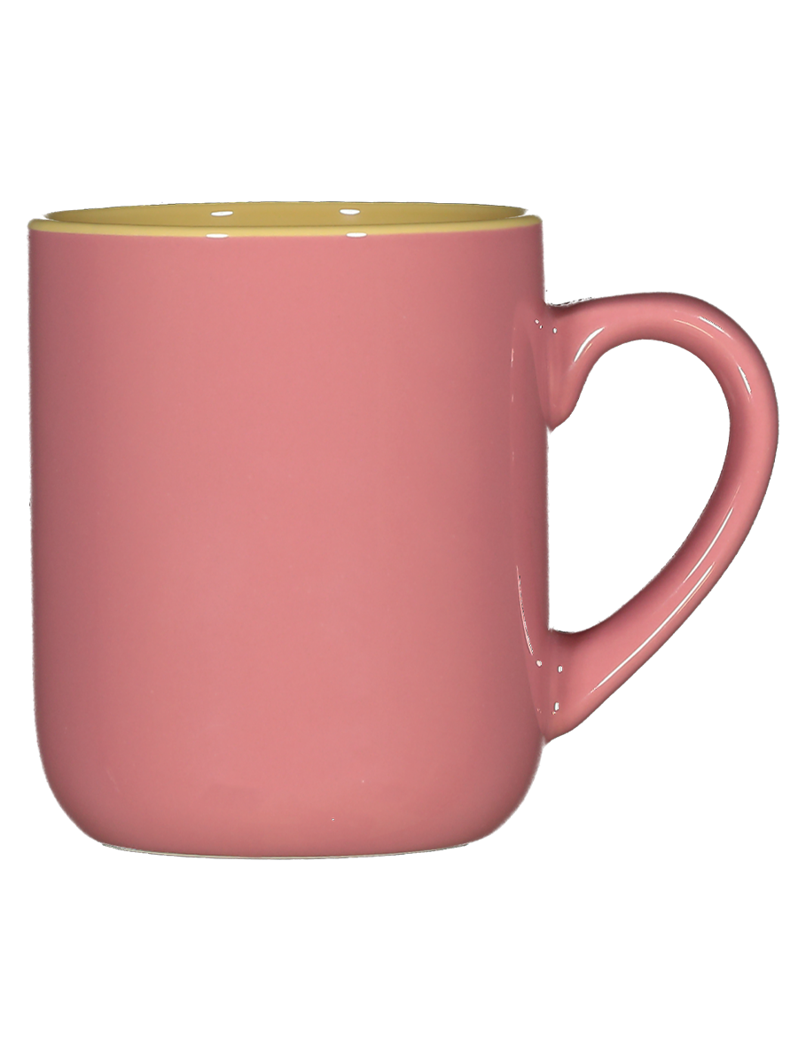 Two Tone Mug