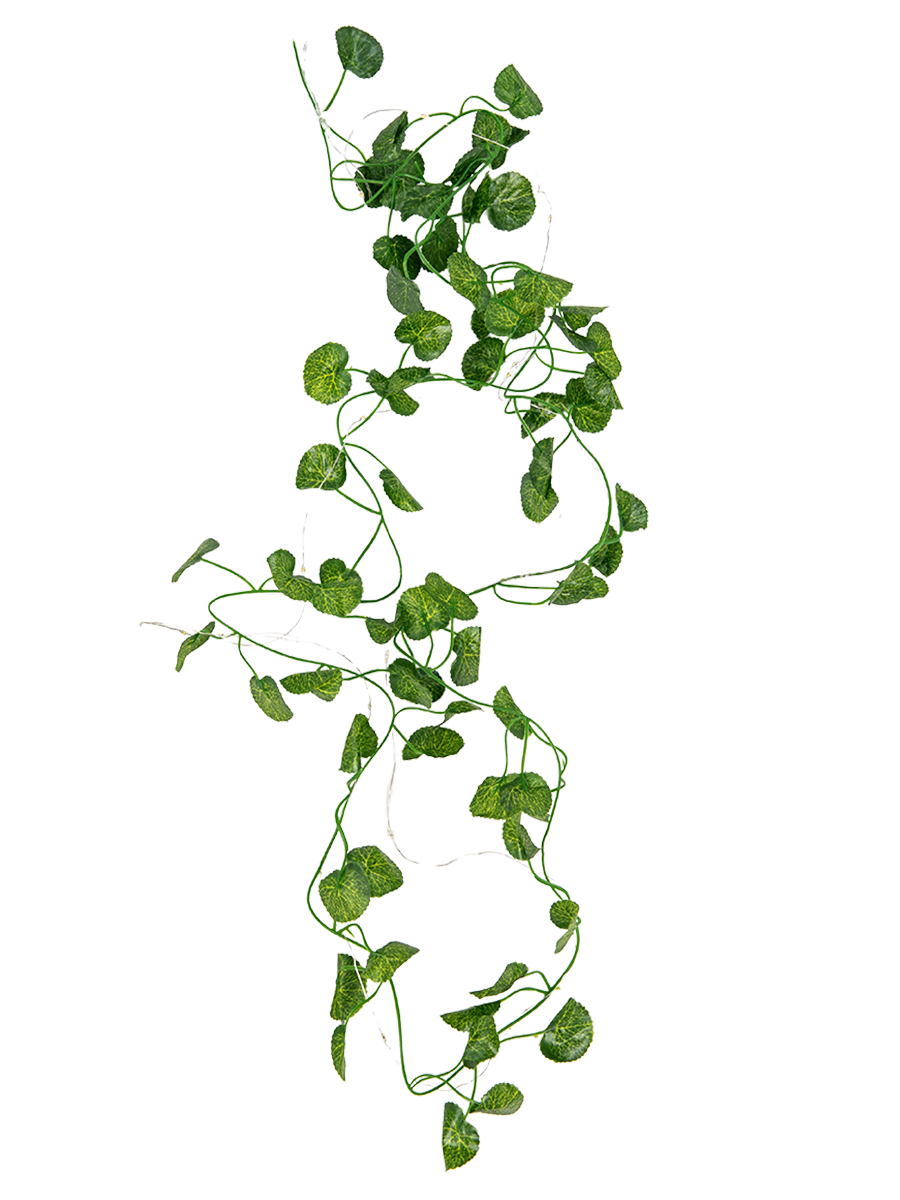 Pennygum Led String Lights