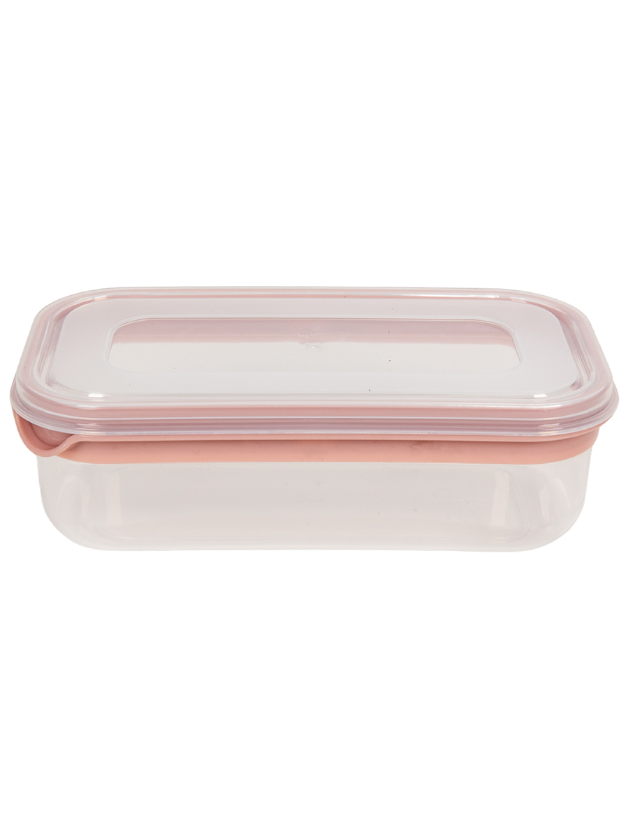 Medium Plastic Container