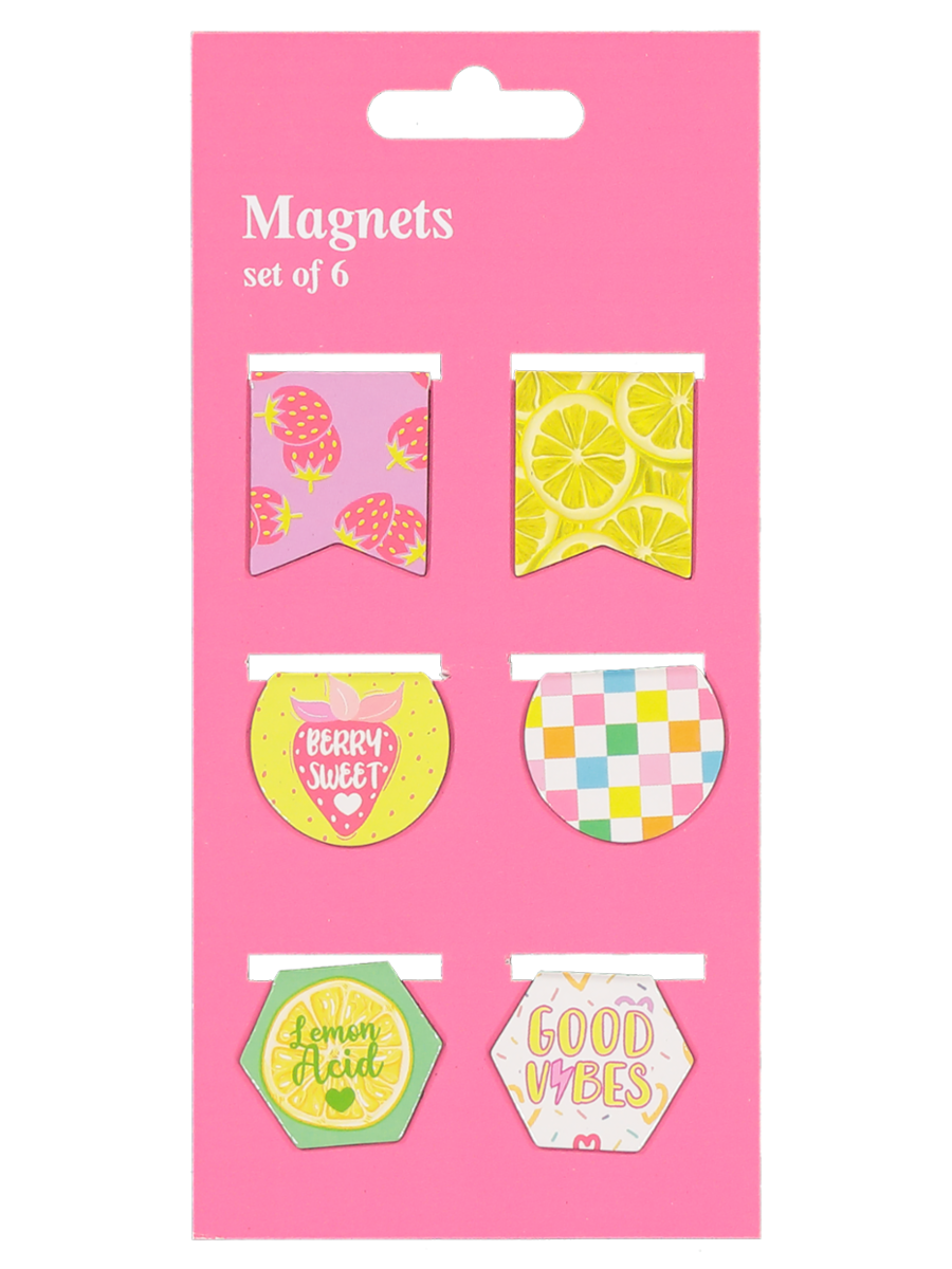 6-Piece Magnet Bookmark Set