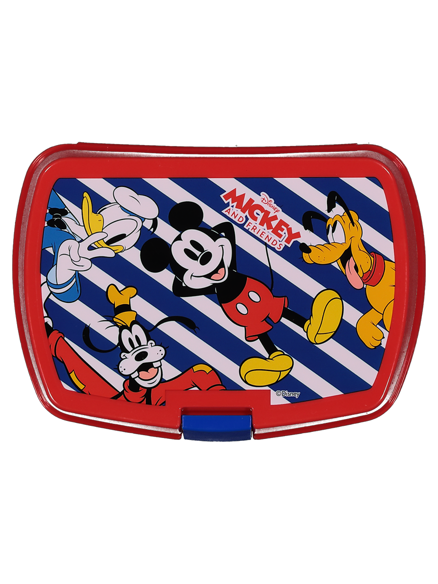 Disney Lunchbox