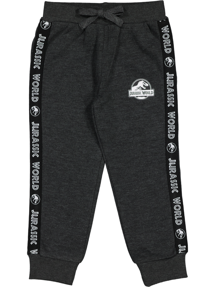 Grey Jurassic Park Track Pants