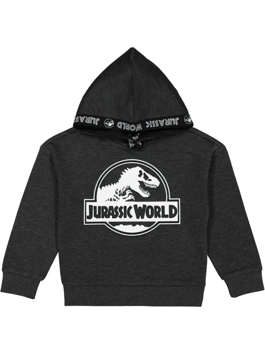 Grey Jurassic Park Hoodie