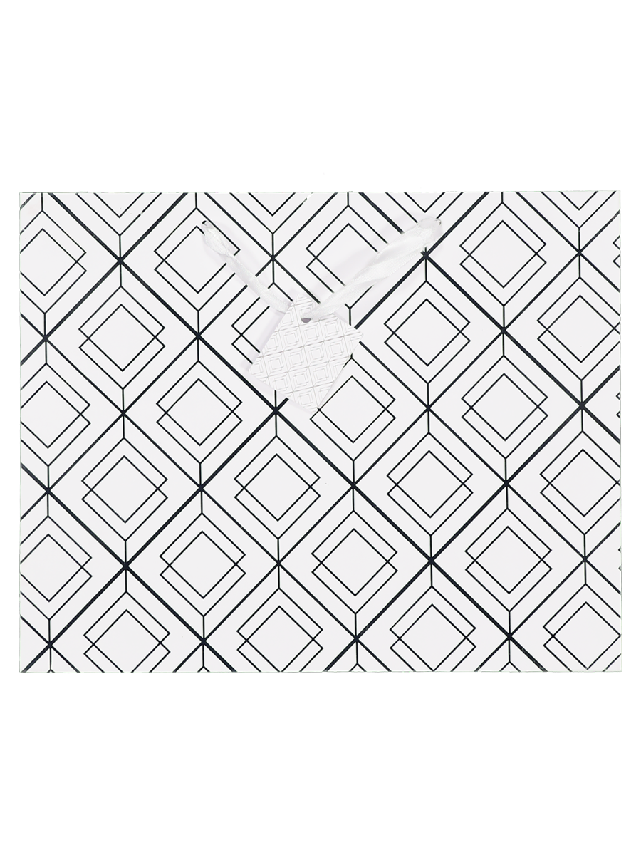 Large Landscape Gift Bags