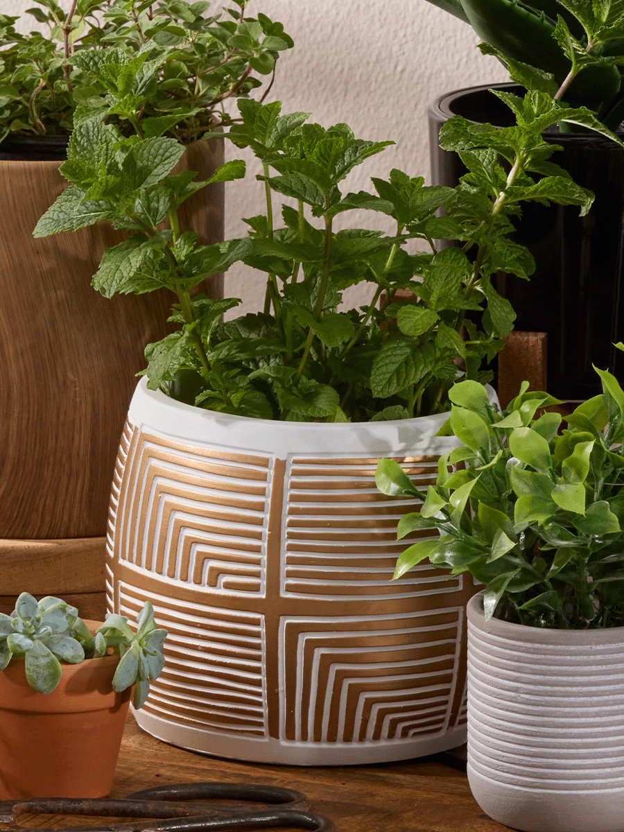 Gold Geo Flower Pot