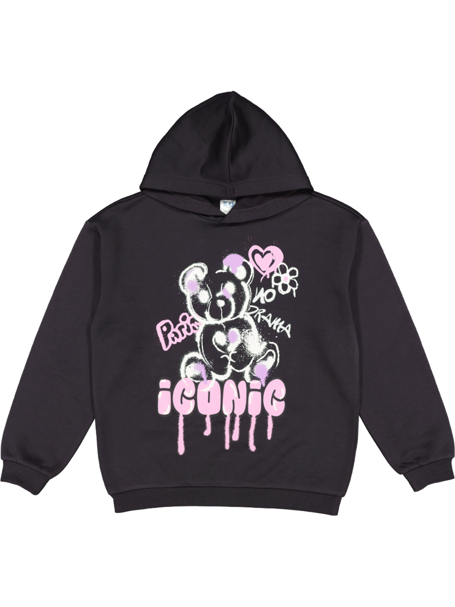 Teddy Graphic Hoodie