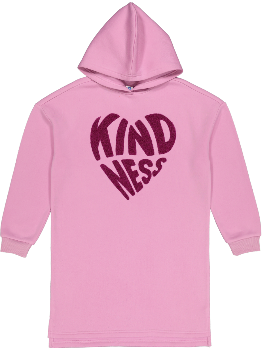 Graphic Hoodie Dress