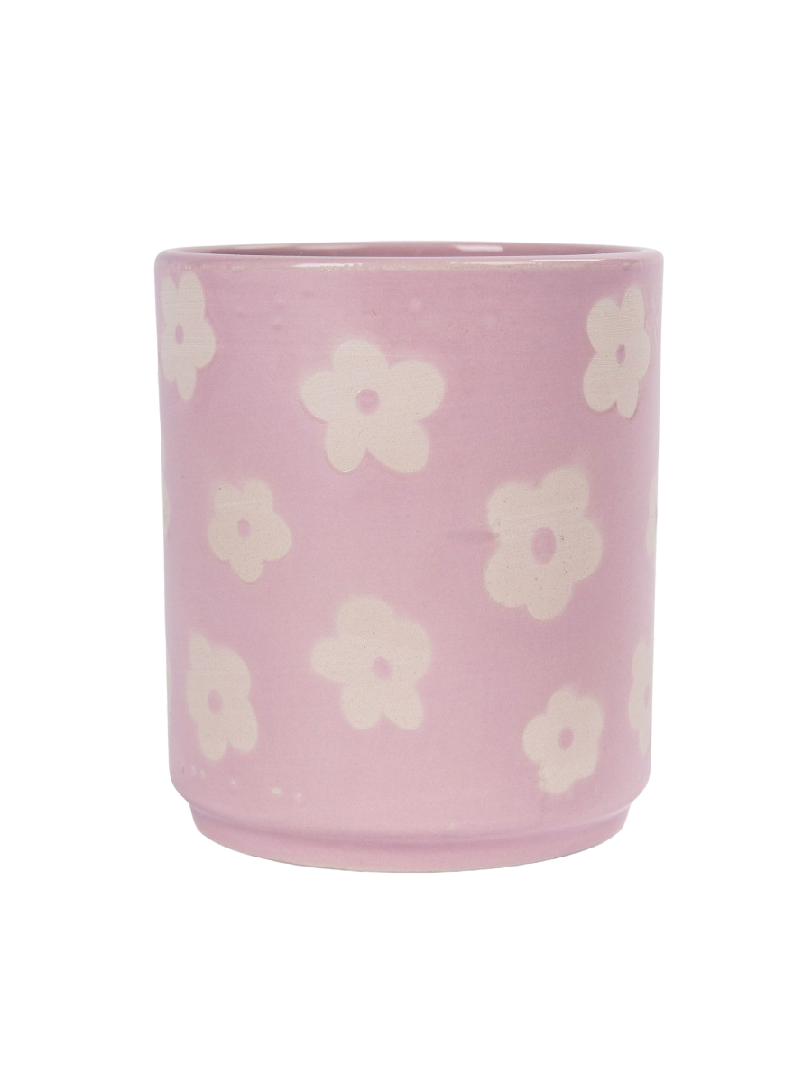 Decorative Pot Plant