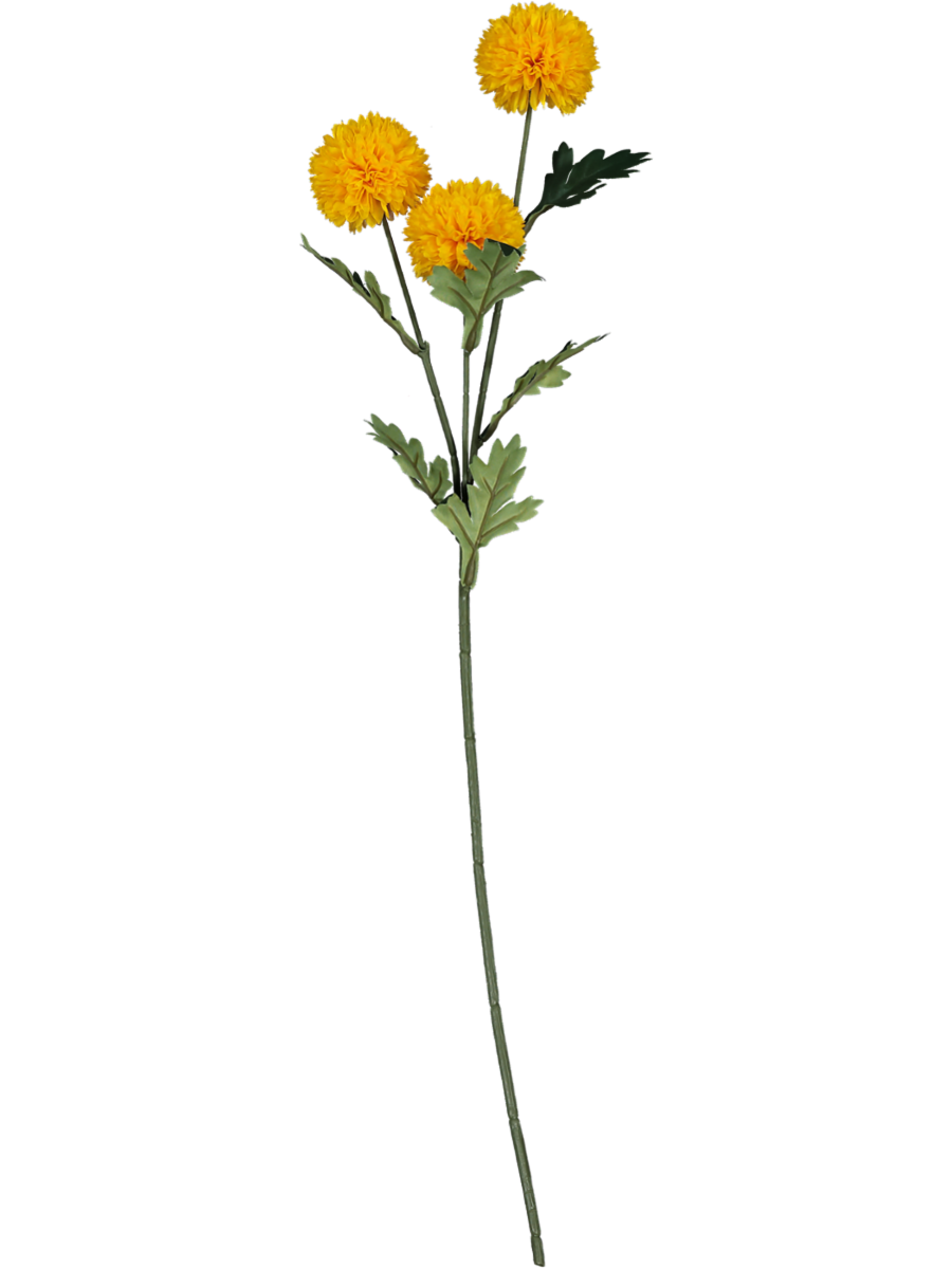 Yellow Marigold Flower