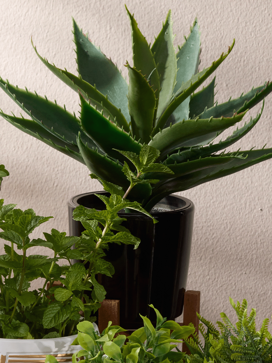 Artificial Aloe Plant