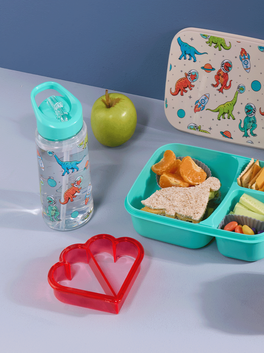 Boys Drinking Bottle