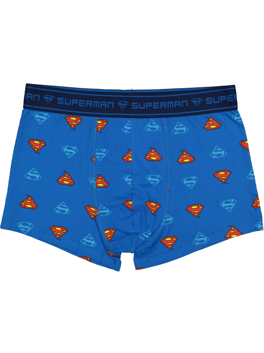 Superman Boxer Briefs Underwear