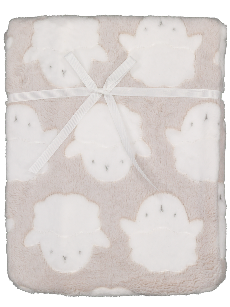 Coral Fleece Blanket