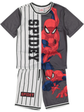 Spiderman T-Shirt And Shorts Set
