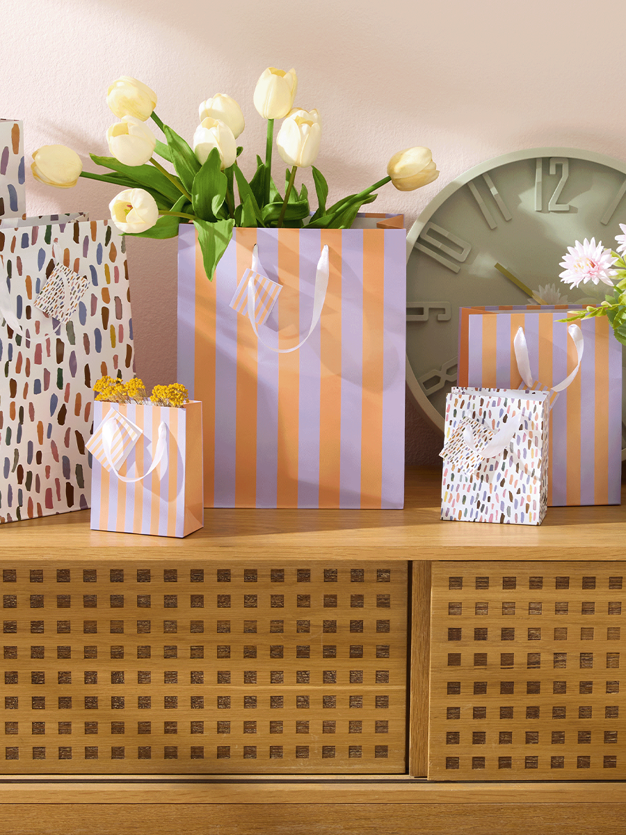 Medium Printed Gift Bag