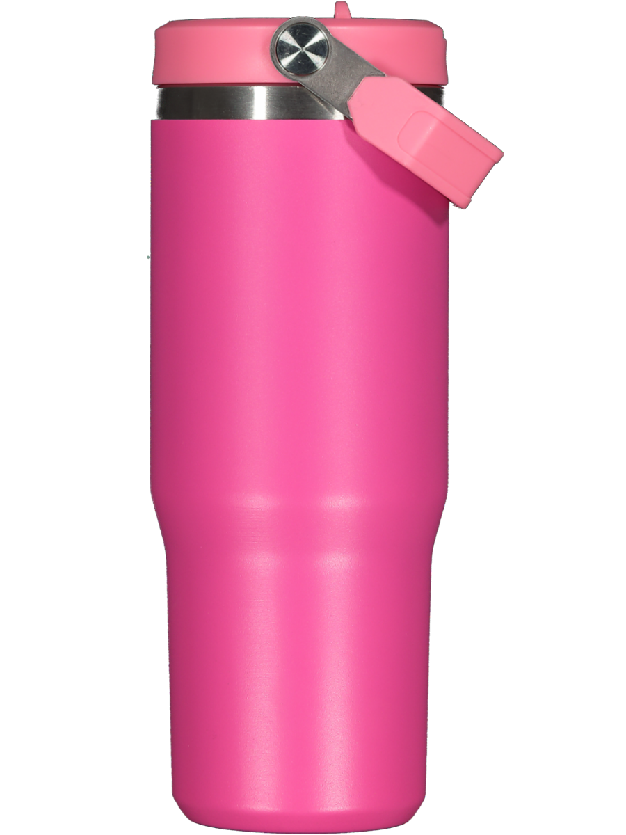 Pink Stainless Steel Bottle
