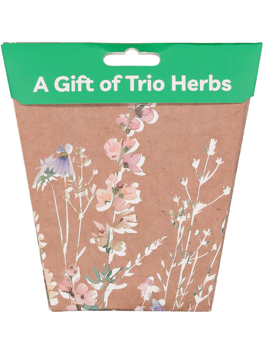 Gifting Trio Herbs Card