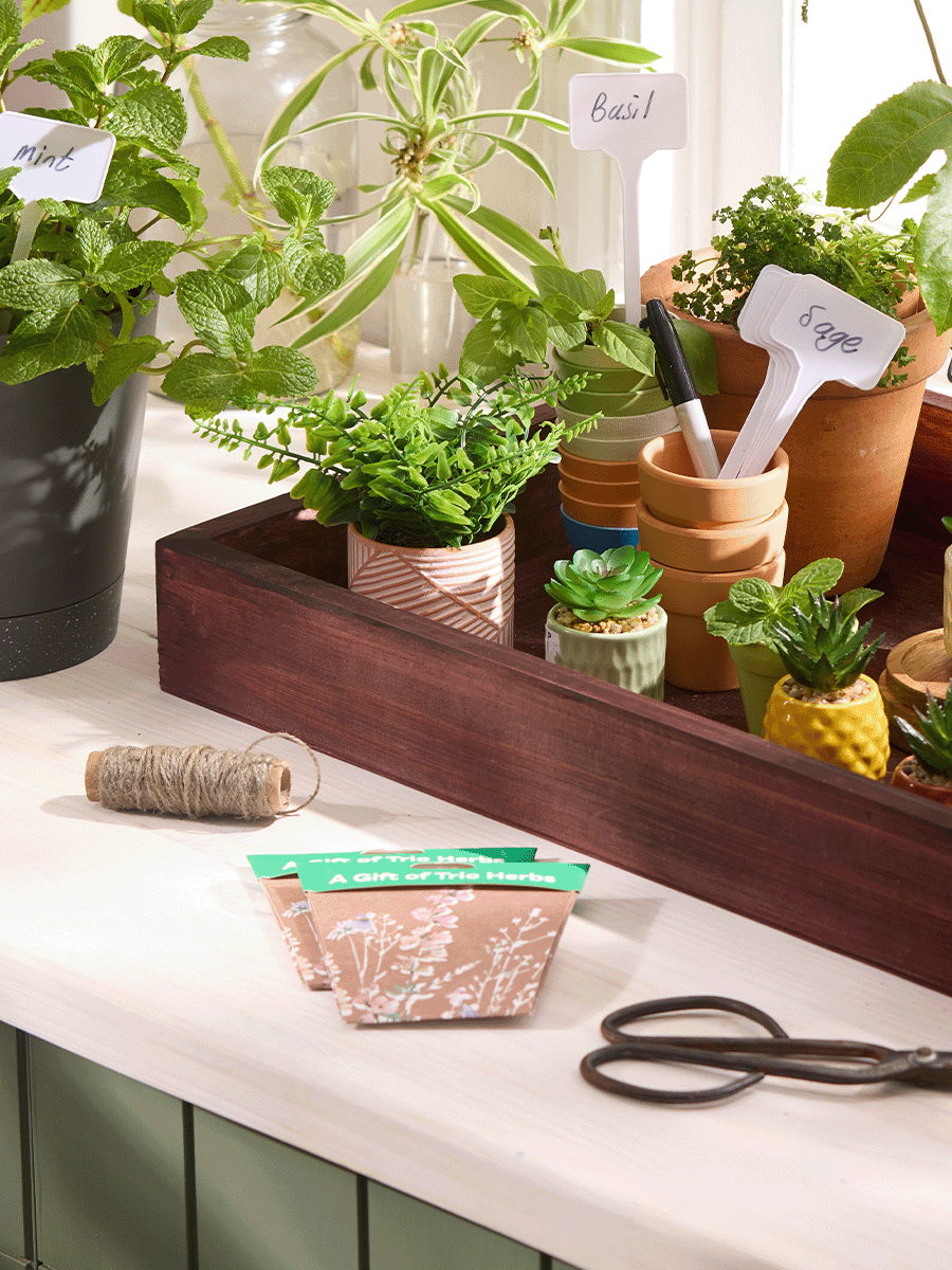 Gifting Trio Herbs Card