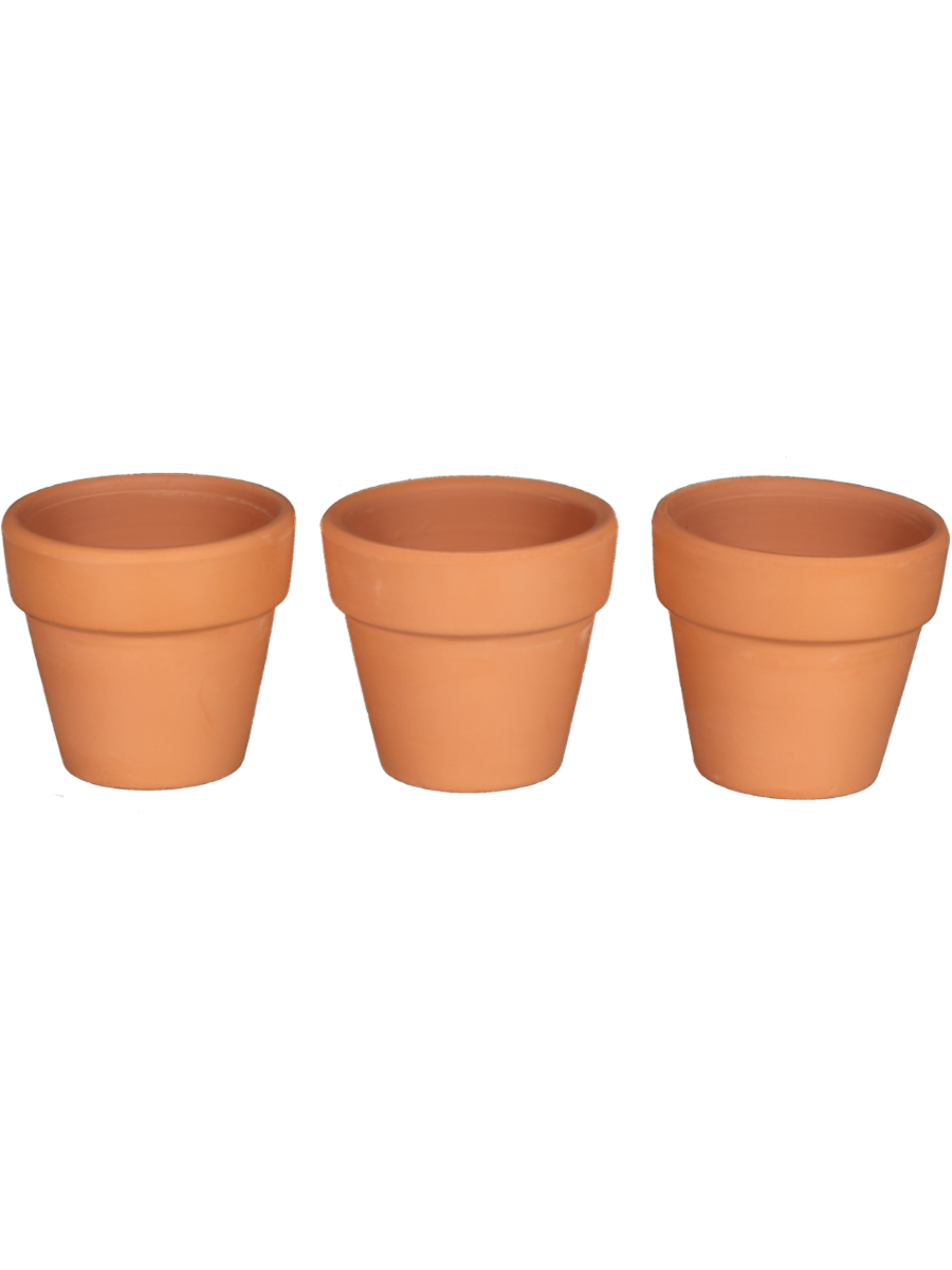 Mini Terracotta Pots