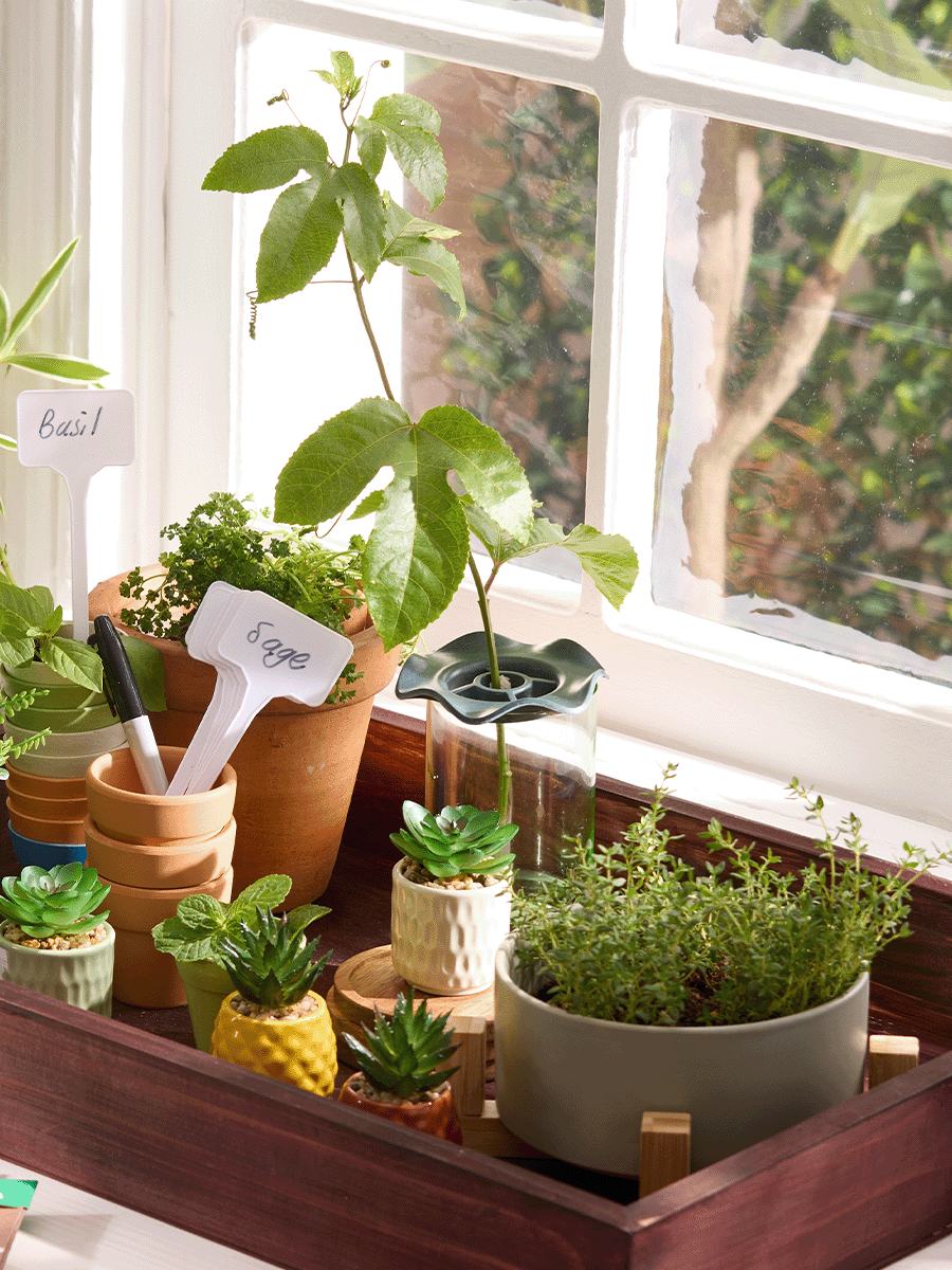 2 Pack Botanical Keepers