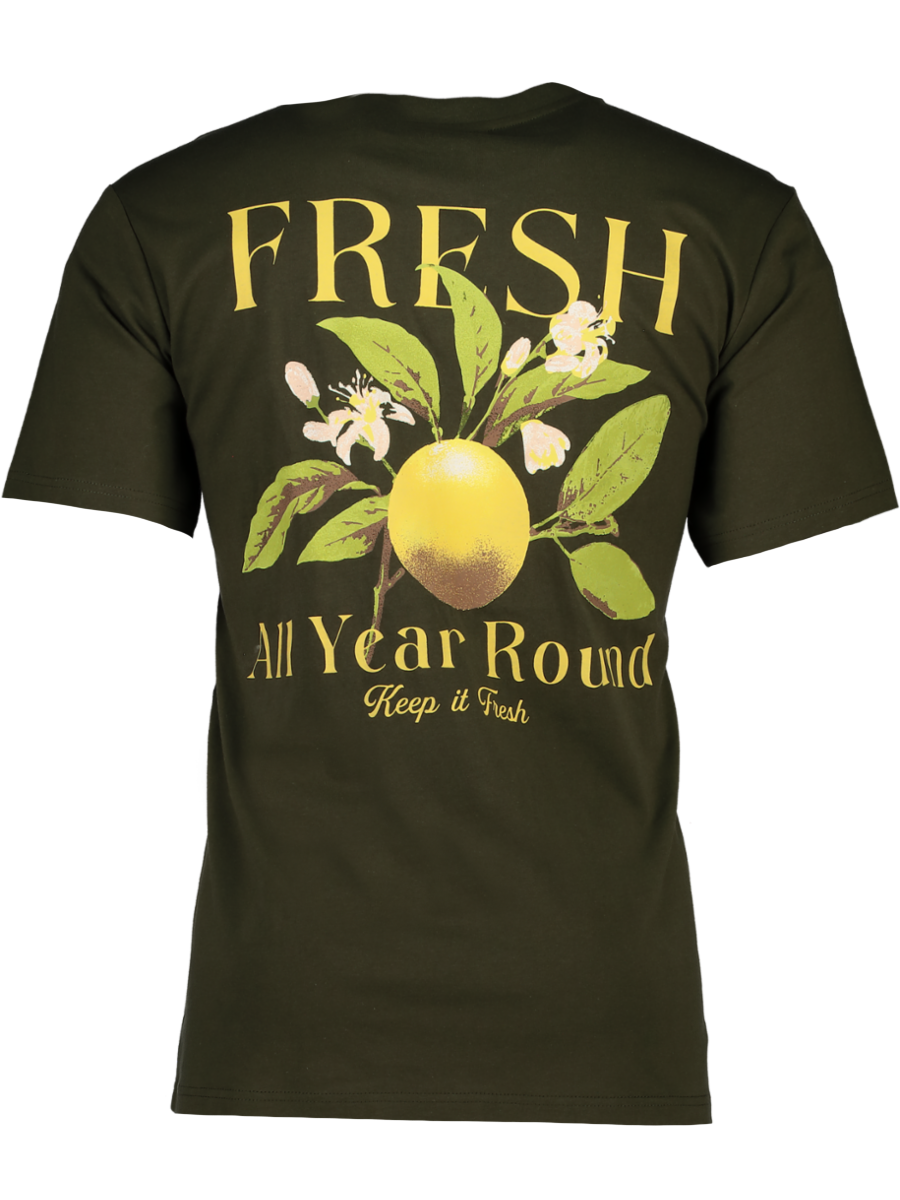 Olive Green Embroidered T-Shirt