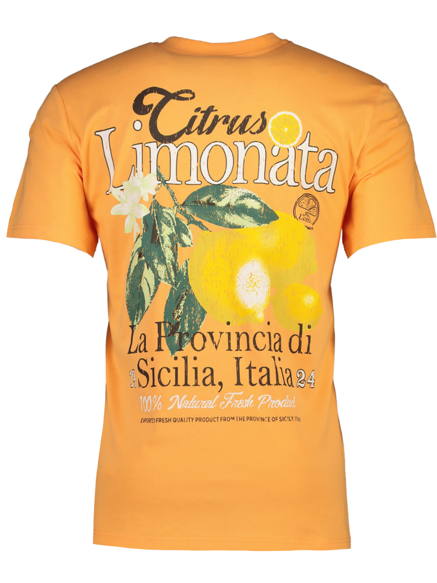 Orange Embroidered T-Shirt