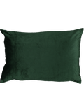 Green Velvet Scatter Cushion