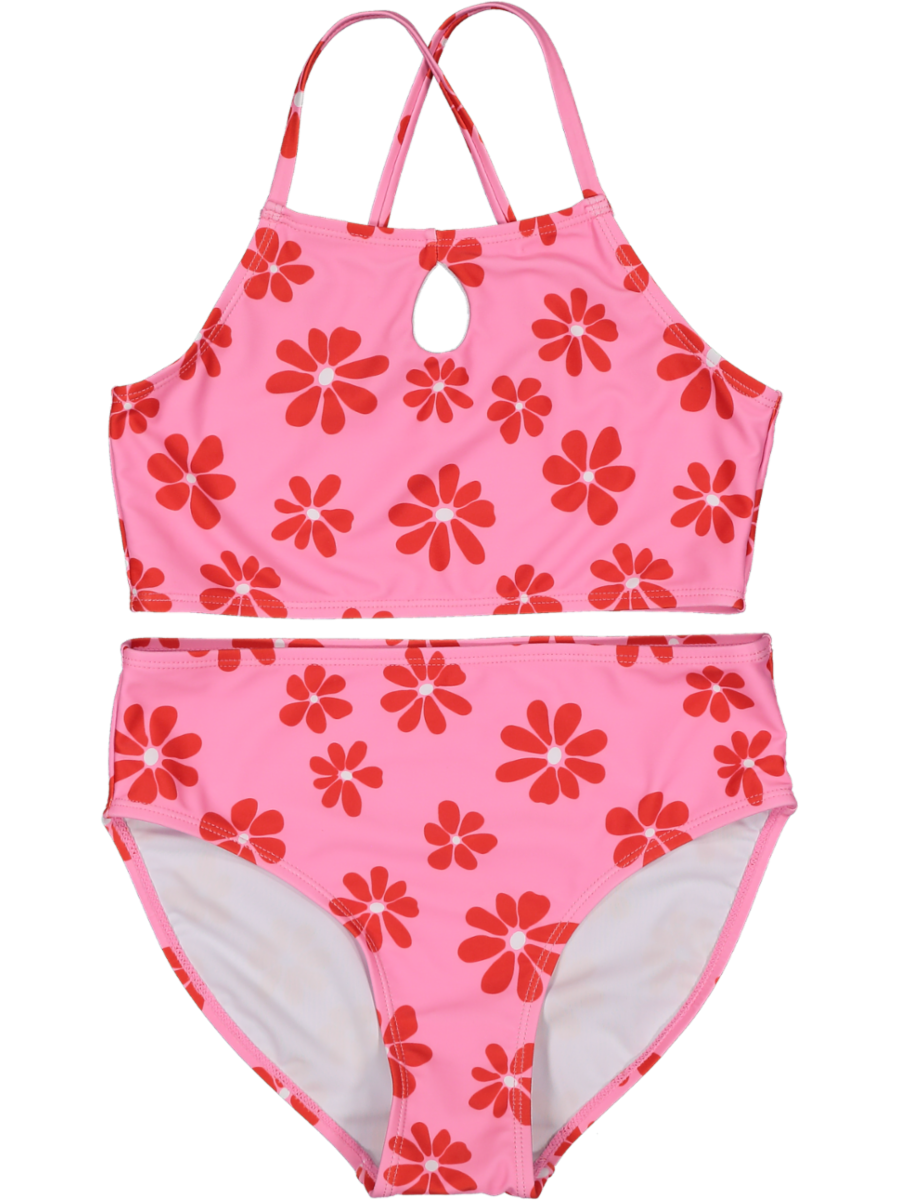 2 Piece Pink Bikini Costume